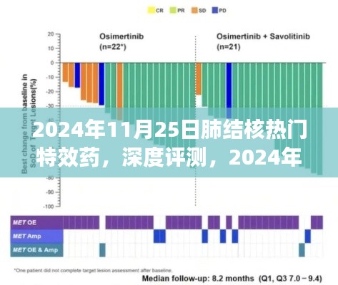 2024年肺结核热门特效药深度解析与评测