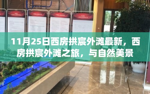 投诉与建议 第319页