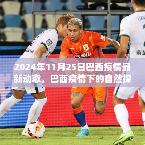 2024年11月25日巴西疫情最新动态，巴西疫情下的自然探索之旅，寻找内心的宁静与微笑的力量