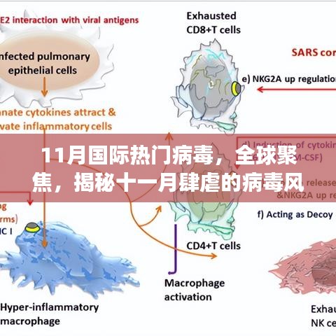 揭秘全球聚焦的11月病毒风暴，背景、事件与影响全解析