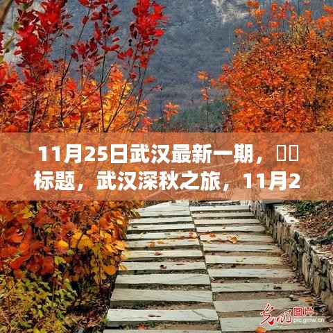 11月25日武汉最新一期，​​标题，武汉深秋之旅，11月25日，与大自然共舞的日子