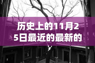 文贵天成 第6页
