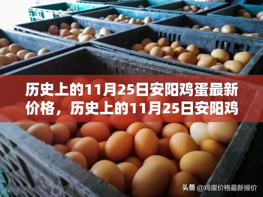 历史上的11月25日安阳鸡蛋价格回顾与影响分析