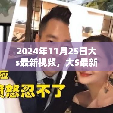 2024年11月25日大s最新视频，大S最新视频观看全攻略，2024年11月25日版，适合初学者与进阶用户