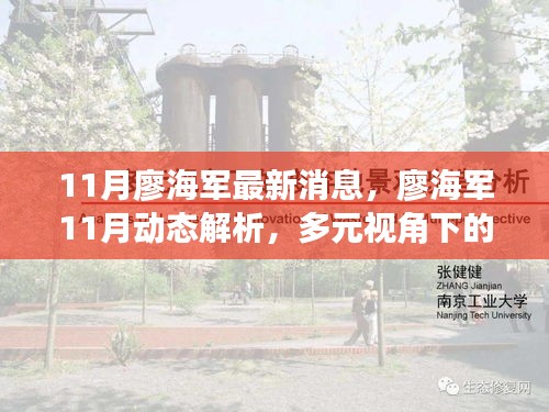廖海军最新动态解析，多元视角下的观点碰撞与个人立场阐述