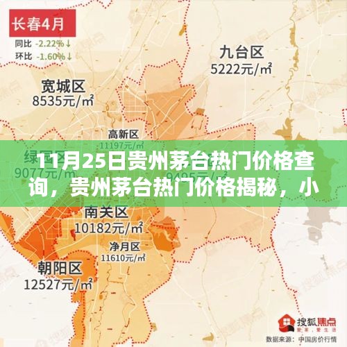 贵州茅台热门价格揭秘，小巷深处的酒香奇缘，11月25日价格查询