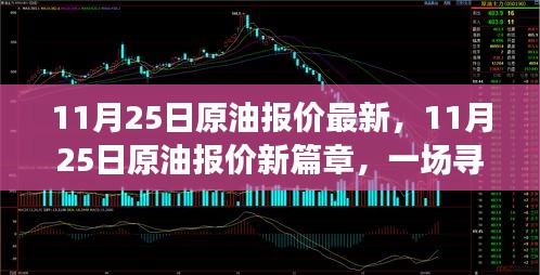 11月25日原油报价更新，探寻内心平静的石油之旅
