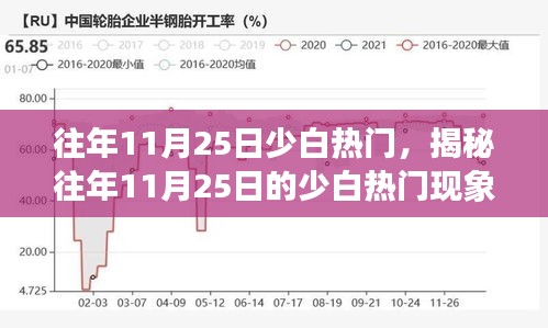 揭秘11月25日少白热门现象，文化与科技的交融盛宴