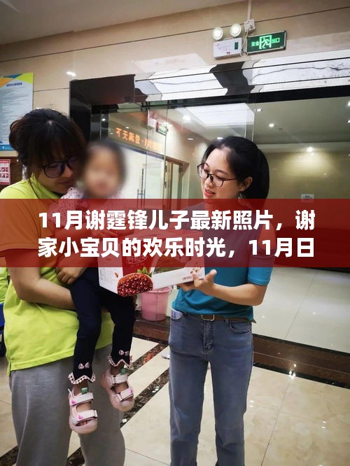 谢霆锋儿子11月最新照片，欢乐时光下的成长印记