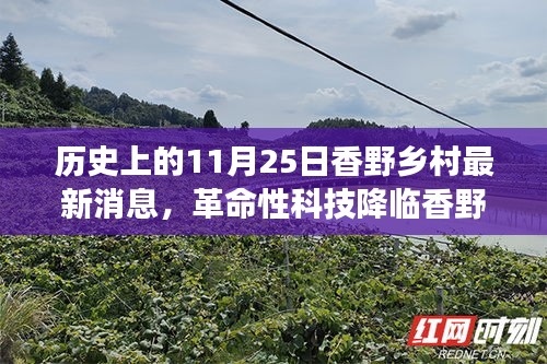 常见问题 第281页