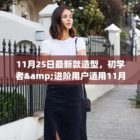 初学者与进阶用户指南，11月25日最新款造型详细步骤解析