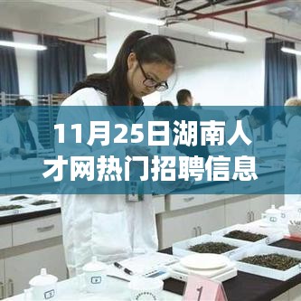 湖南人才网热门招聘信息解析，最新招聘信息一网打尽（11月25日）