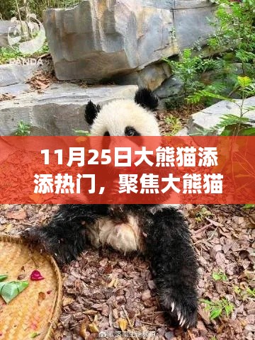 新手上路 第285页