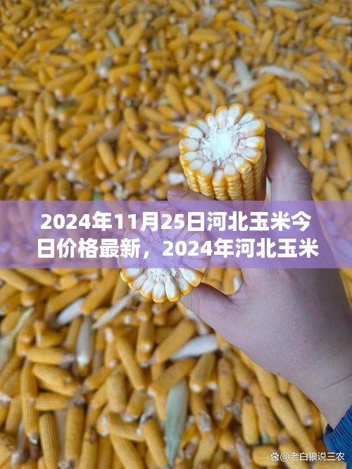 支付方式说明 第281页