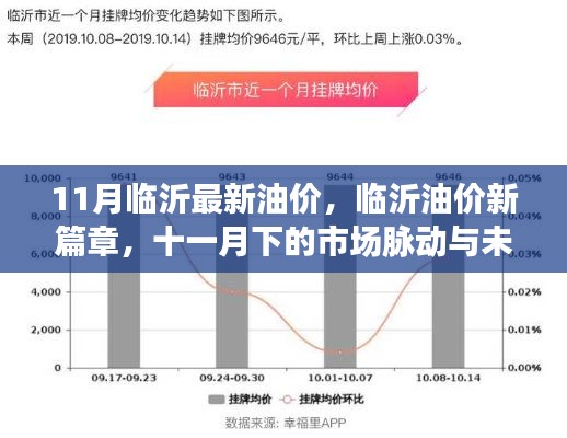 临沂最新油价动态，市场脉动与未来展望（十一月版）