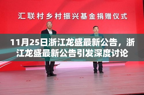 浙江龙盛最新公告引发深度讨论，某某观点探析与探析日期揭秘