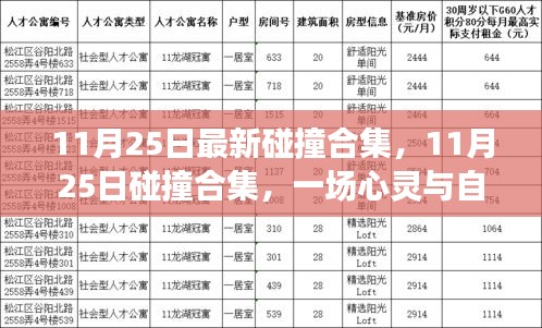 11月25日碰撞合集，心灵与自然的奇妙交汇
