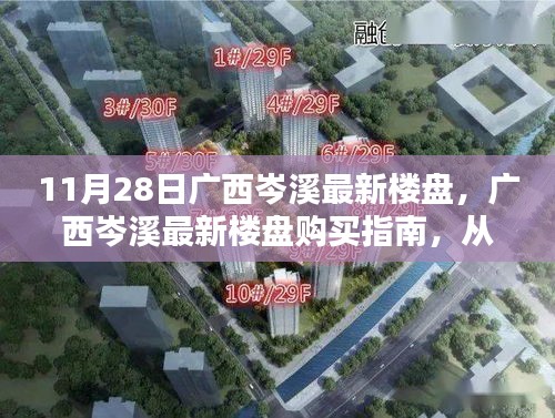 广西岑溪最新楼盘购买指南，从入门到签约，教你如何选购心仪楼盘