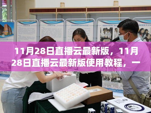 新手上路 第281页
