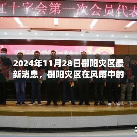 鄱阳灾区风雨中的坚韧与重生——最新观察报告 2024年11月28日