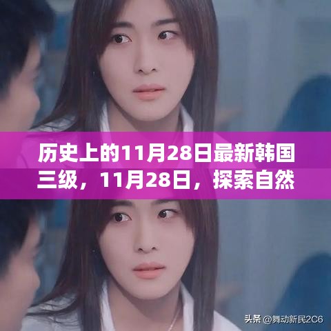 五角六张 第5页