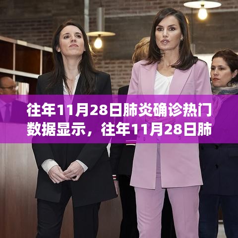 往年11月28日肺炎确诊数据深度解析与指南，热门数据呈现及解析步骤揭秘