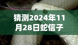蛇信子新动向，学习与创新引领自信之路，展望未来的趋势预测（最新动态）