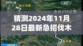 绝无仅有 第6页