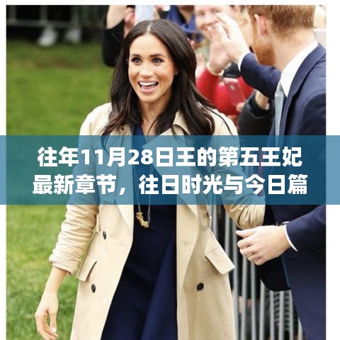 王的第五王妃最新章节揭秘，往日时光与今日篇章的启示与争议