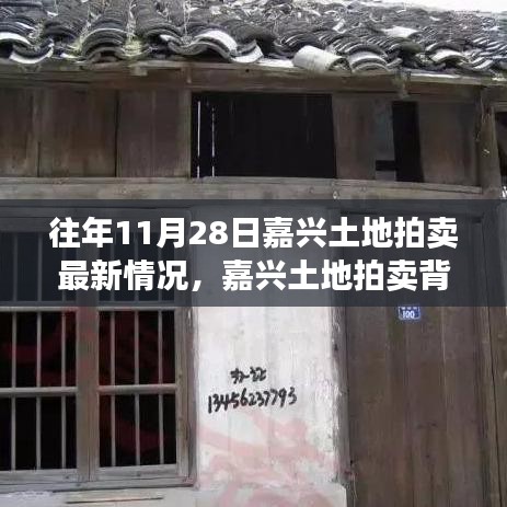 嘉兴土地拍卖背后的故事，最新动态与神秘小巷探秘之旅