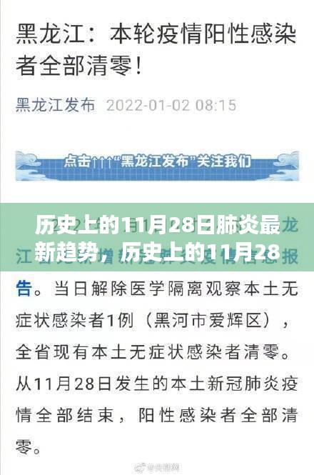 历史上的11月28日肺炎疫情深度解析与最新趋势报告