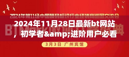 2024年最新BT网站指南，初学者与进阶用户必备，但需警惕违法犯罪风险