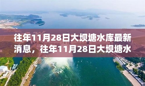 往年11月28日大坝塘水库最新消息，多方观点深度解析与个人立场表达