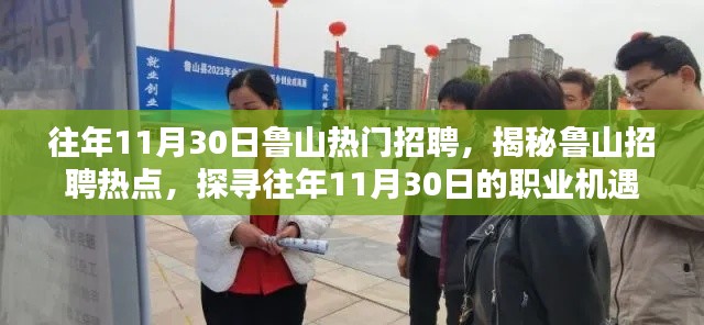 往年11月30日鲁山热门招聘，揭秘鲁山招聘热点，探寻往年11月30日的职业机遇