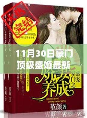 11月30日豪门顶级盛婚，科技梦幻联姻揭秘最新高科技产品