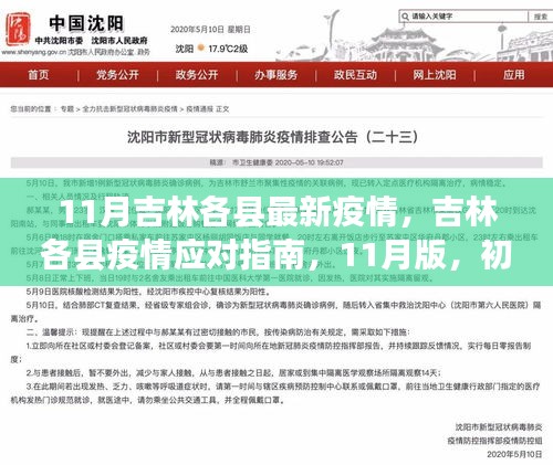 吉林各县11月疫情最新动态与应对指南，初学者到进阶用户的必备参考