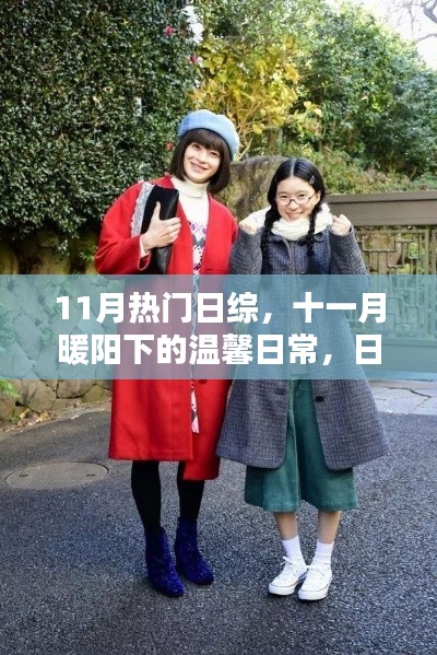 十一月暖阳下的温馨日常，日综里的友情与爱