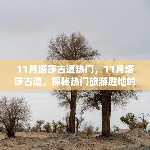 探秘塔莎古道独特魅力，揭秘十一月热门旅游胜地之旅