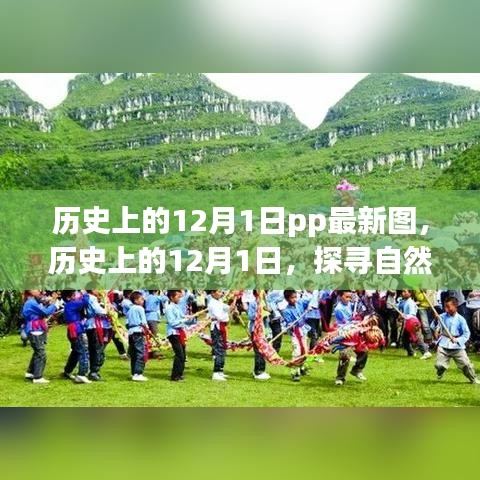 探寻自然美景之旅，历史上的12月1日启程向内心的宁静与和谐之pp最新图展示