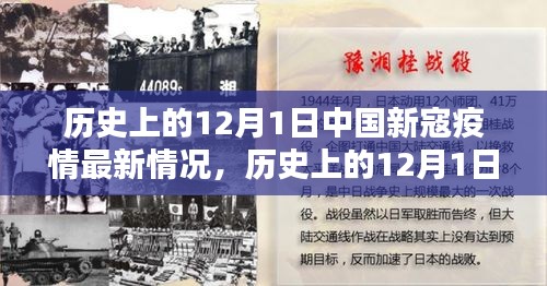 夯雀儿先飞 第5页