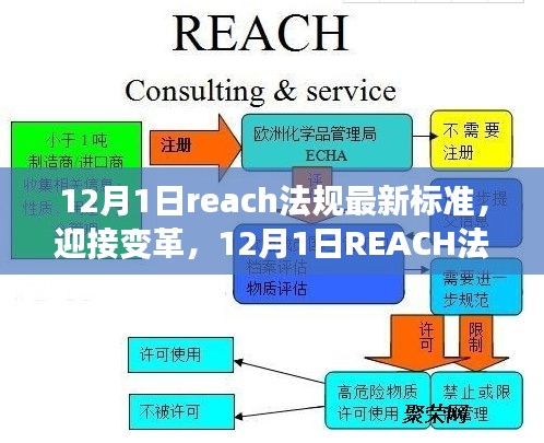 迎接变革，12月1日REACH法规最新标准下的自信之路