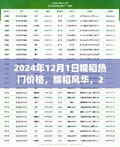2024年12月1日糯稻热门价格，糯稻风华，2024年糯稻市场热门价格解析