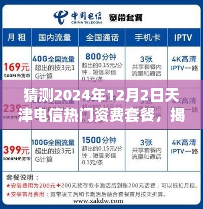 揭秘天津电信未来资费套餐，探寻小巷深处的宝藏与特色小店预测之旅（2024年预测）