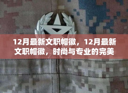 12月最新文职帽徽，时尚与专业的完美融合
