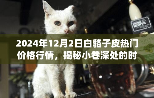 揭秘时尚宝藏，白貉子皮行情与独特皮草店的奇妙故事，热门价格行情大揭秘（2024年）