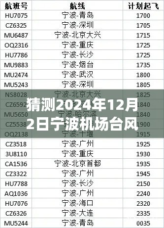 宁波机场台风最新通知，航班动态与旅客关怀在风雨中的预测与关怀（猜测至2024年12月）