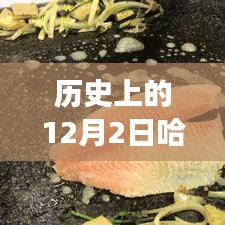 哈尔滨五号线，历史与美食交织的神秘之旅——最新消息与小巷美味探索