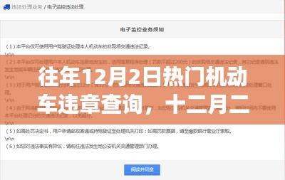 往年12月2日机动车违章查询背后的暖心故事揭秘