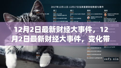 坌鸟先飞 第5页