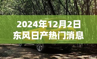 揭秘东风日产行业前沿动态，热门消息一网打尽（2024年12月）